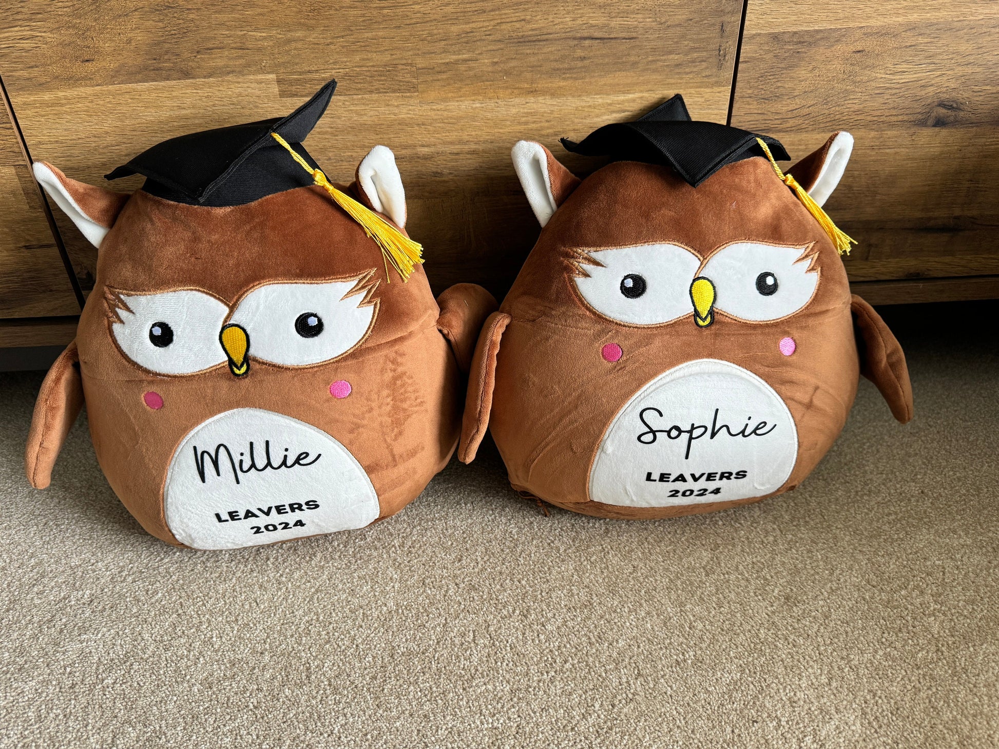 School Leavers Gift , Squidgy Animal , Leaver 2024 , University Graduate , School Leaver gift