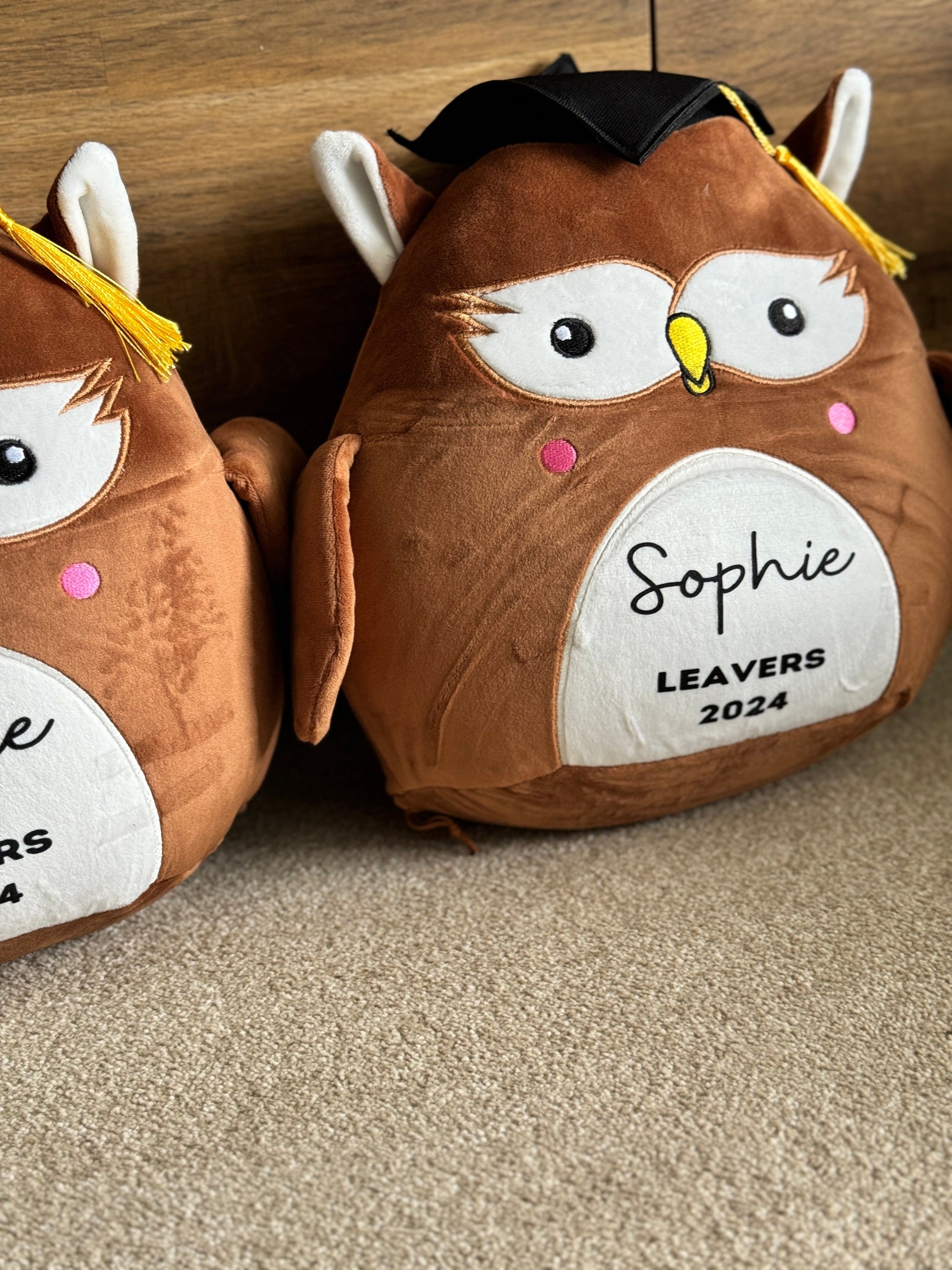 School Leavers Gift , Squidgy Animal , Leaver 2024 , University Graduate , School Leaver gift