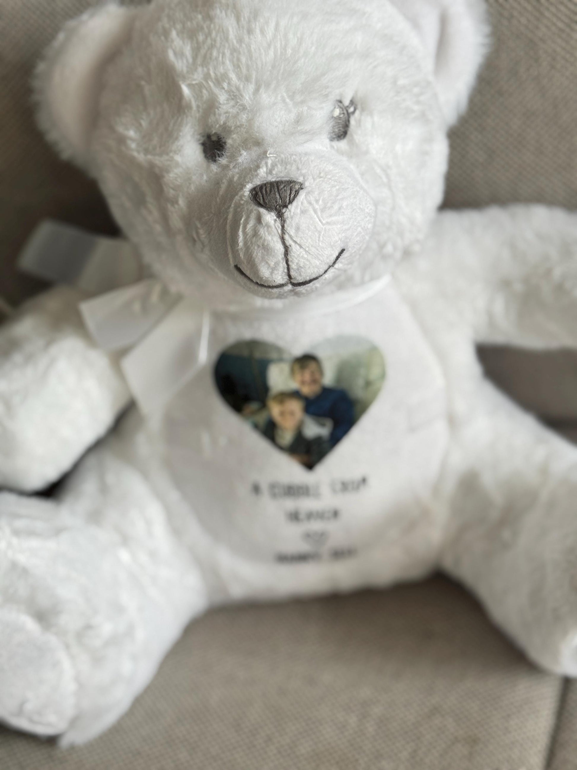 Memory Photo Teddy, In Memory Gift, Bereavement Gift ,Memorial ,Keepsake Present, Memorial Photo Gift, Memory Teddy Bear, Sympathy