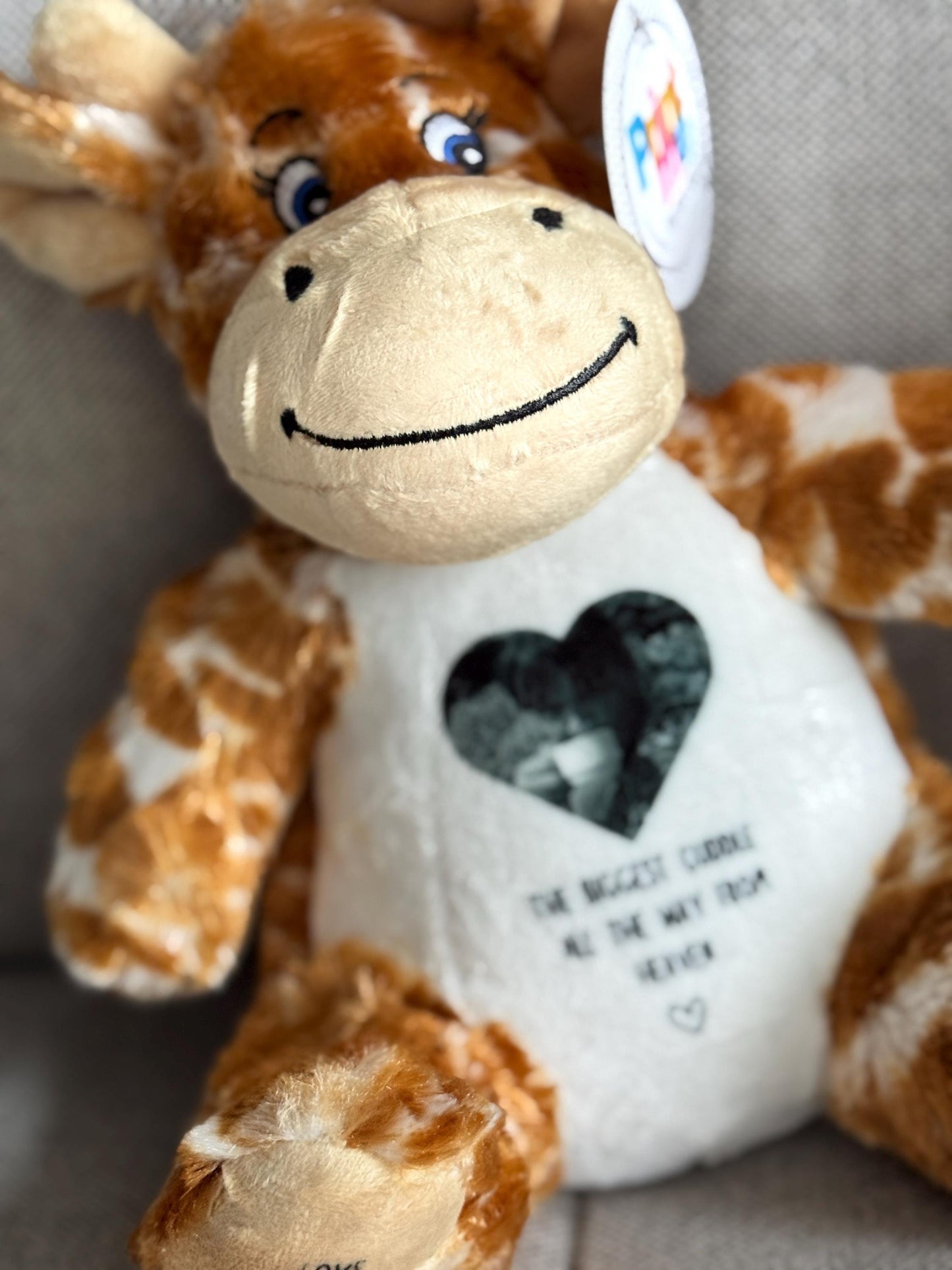Memory Photo Teddy, In Memory Gift, Bereavement Gift ,Memorial ,Keepsake Present, Memorial Photo Gift, Memory Teddy Bear, Sympathy